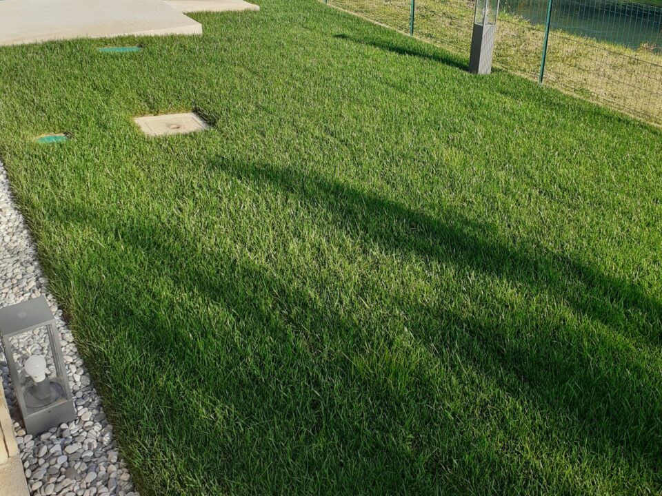 Prato in zolle con impianto d'irrigazione a lavoro terminato